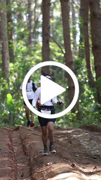 BIB:  <button type="button" onclick="openModal(26569622)" class="btn btn-primary btn-sm float-right" data-toggle="modal" data-target=".modal-high-quality">
                <i class="fa fa-download"></i> Download
                </button>